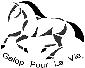 logo OK 2013 recadré