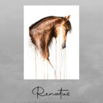 Reproduction - Renatus