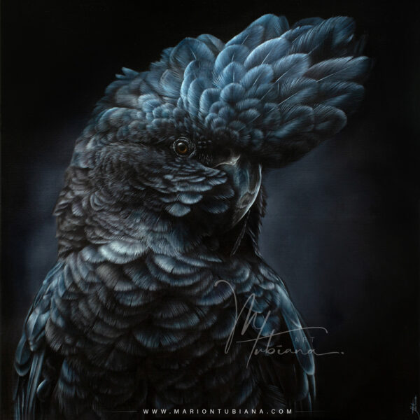 Boutique / Shop - Marion Tubiana - Artiste animalière - Pastels secs ...