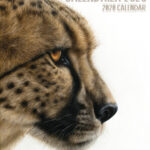 Calendrier Wildlife 2020