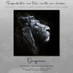 Reproduction - Onyenwe - PLUS QU'1 DISPO