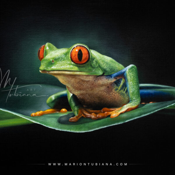 Boutique / Shop - Marion Tubiana - Artiste animalière - Pastels secs ...