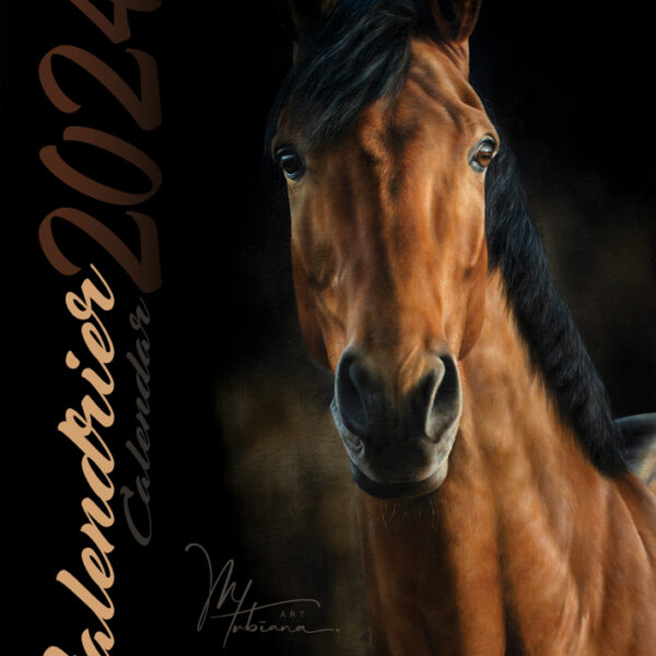 Boutique / Shop - Marion Tubiana - Artiste animalière - Pastels secs ...