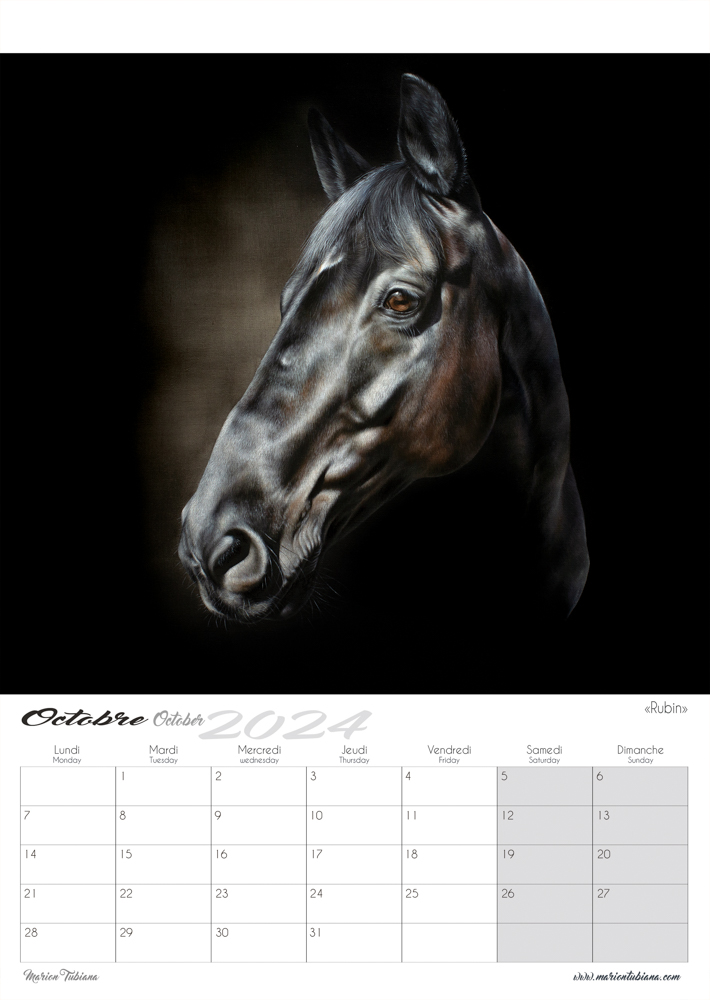 Marcello-art : Calendrier 2024 Chevaux