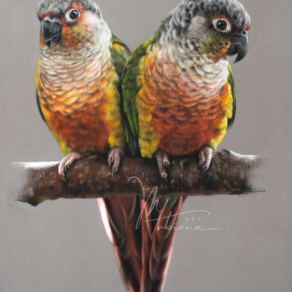 Boutique / Shop - Marion Tubiana - Artiste animalière - Pastels secs ...