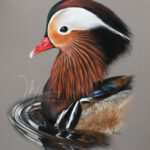 Mandarin