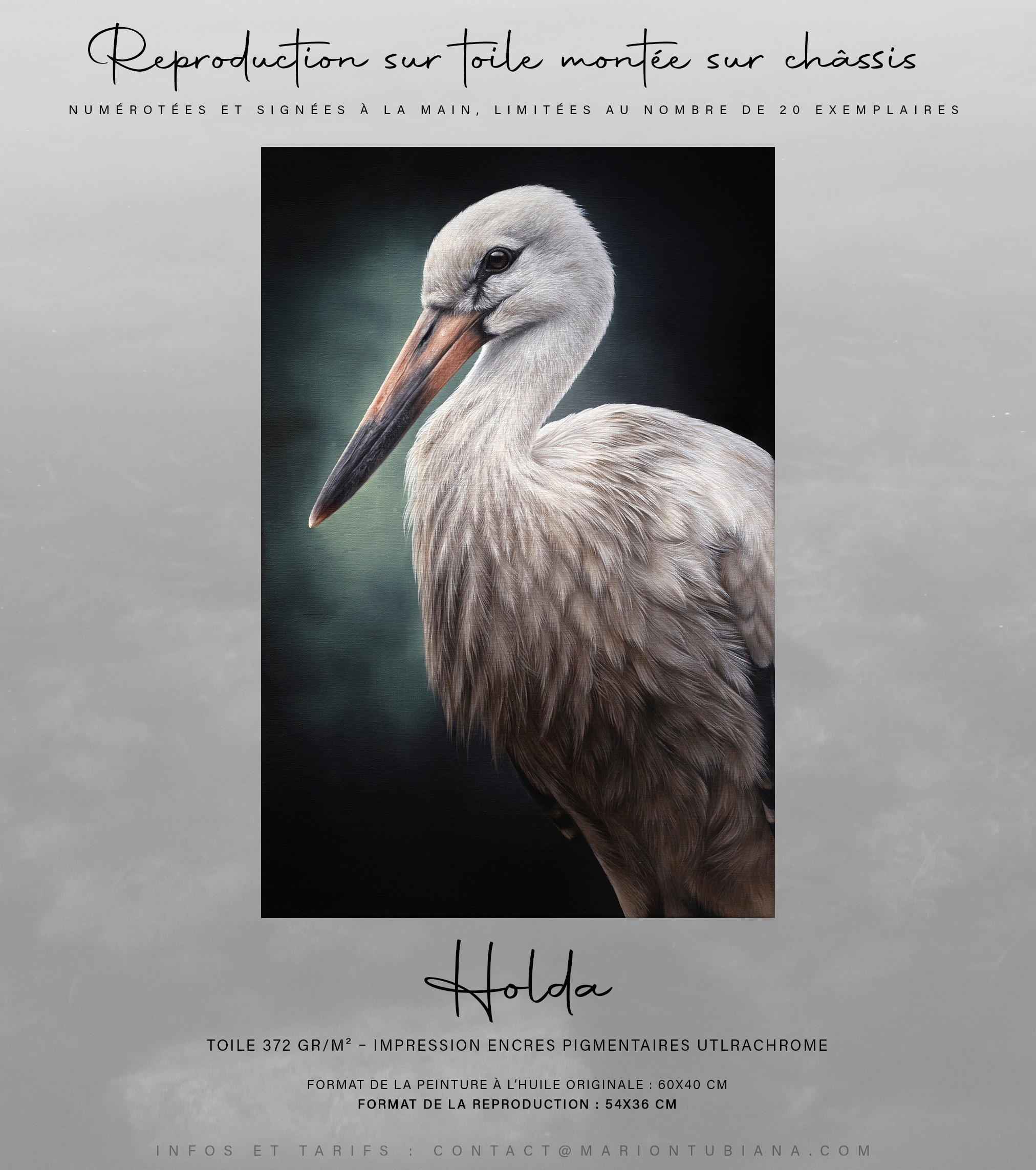 Annonce reproduction 2025 Holda copy