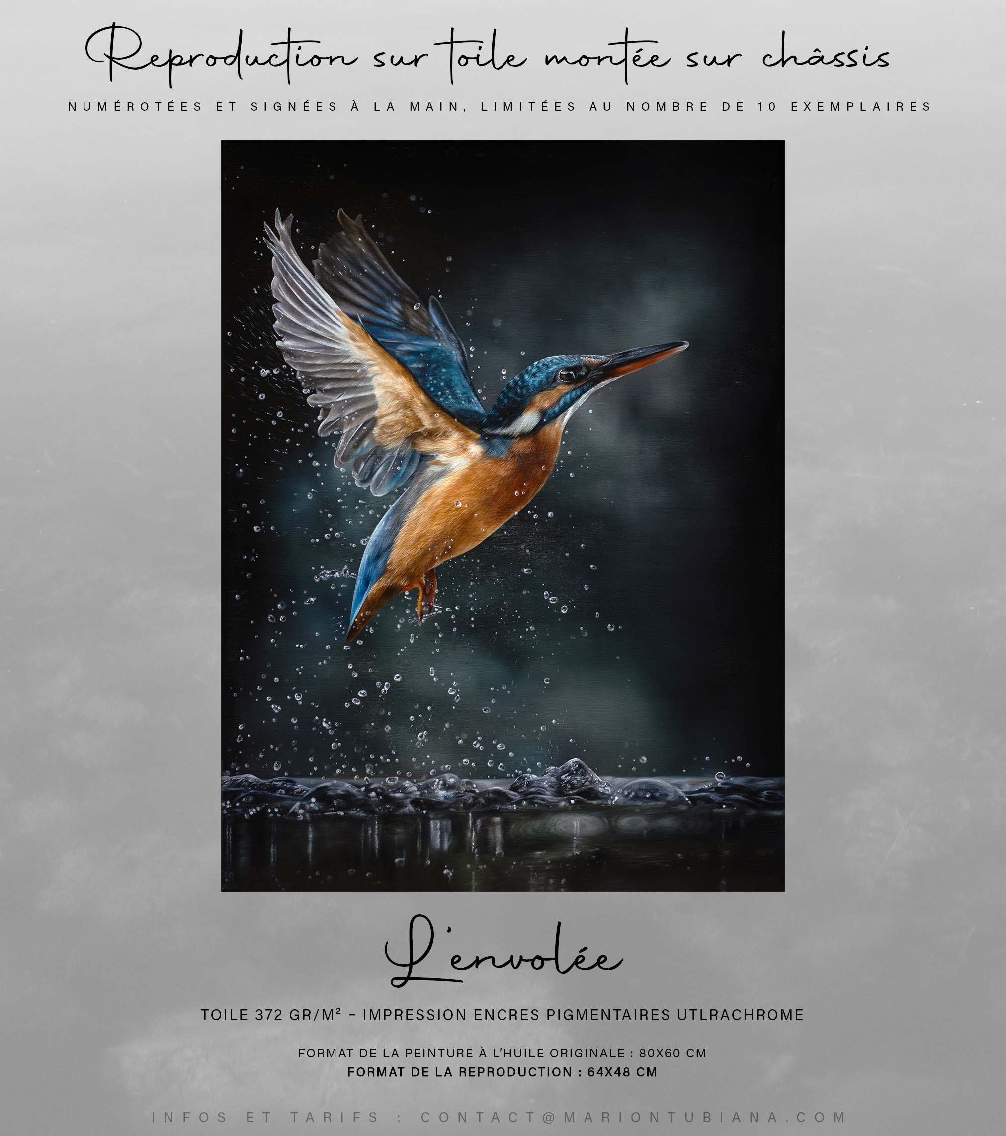 Annonce reproduction 2025 L’envolée